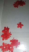 Cargar imagen en el visor de la galería, NATURALEZA PLANCHADA
