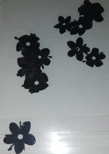 Cargar imagen en el visor de la galería, NATURALEZA PLANCHADA