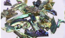 Cargar imagen en el visor de la galería, CONCHA NACAR
