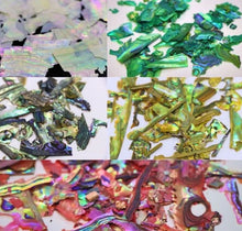 Cargar imagen en el visor de la galería, CONCHA NACAR
