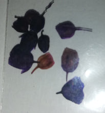 Cargar imagen en el visor de la galería, NATURALEZA ITALIANA

