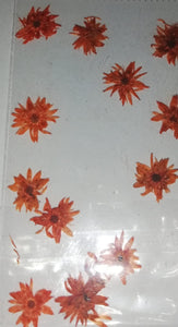 NATURALEZA GIRASOL