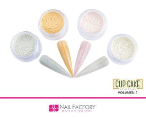 COLECCIONES ACRILICO 4 PIEZAS NAIL FACTORY